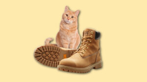 boots smell like cat pee